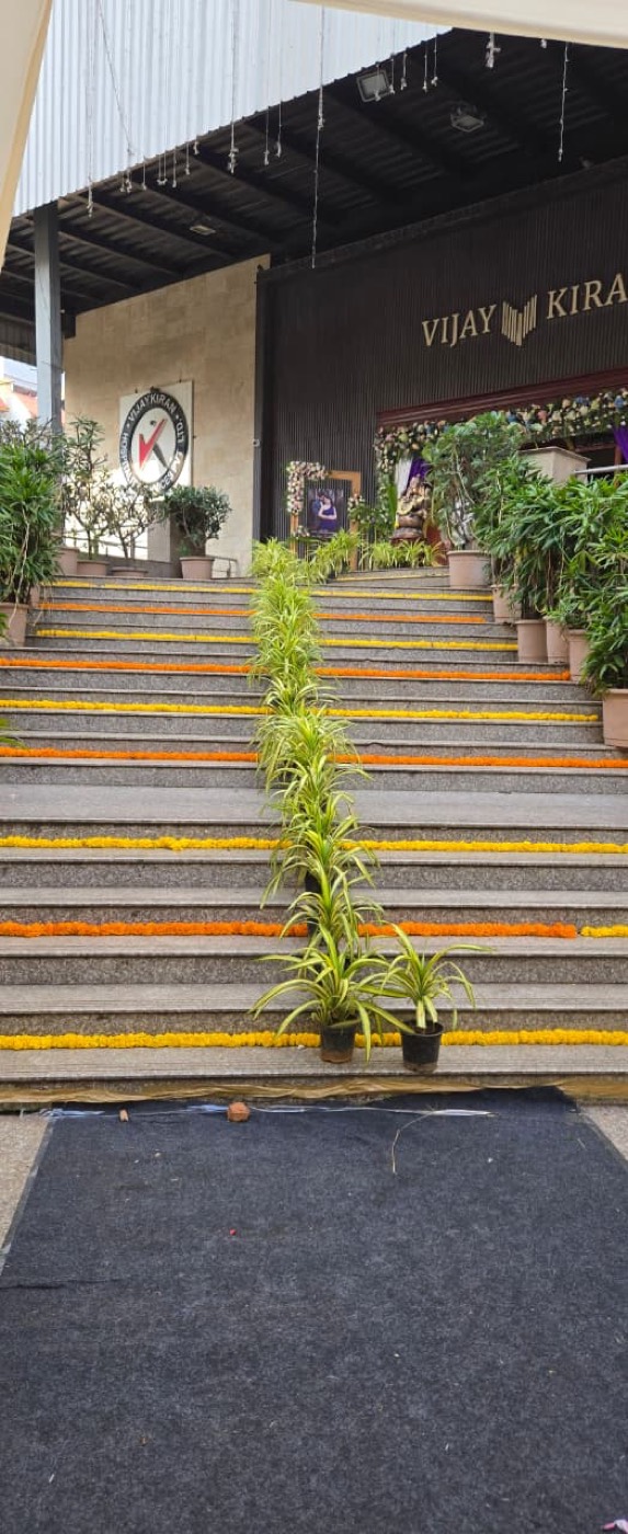 Marigold arrival